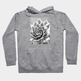 Succulent Hoodie